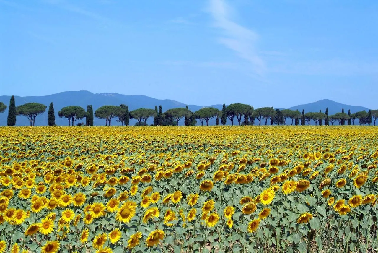 Agriturismo Le Chiare Stelle Grosseto 0*,