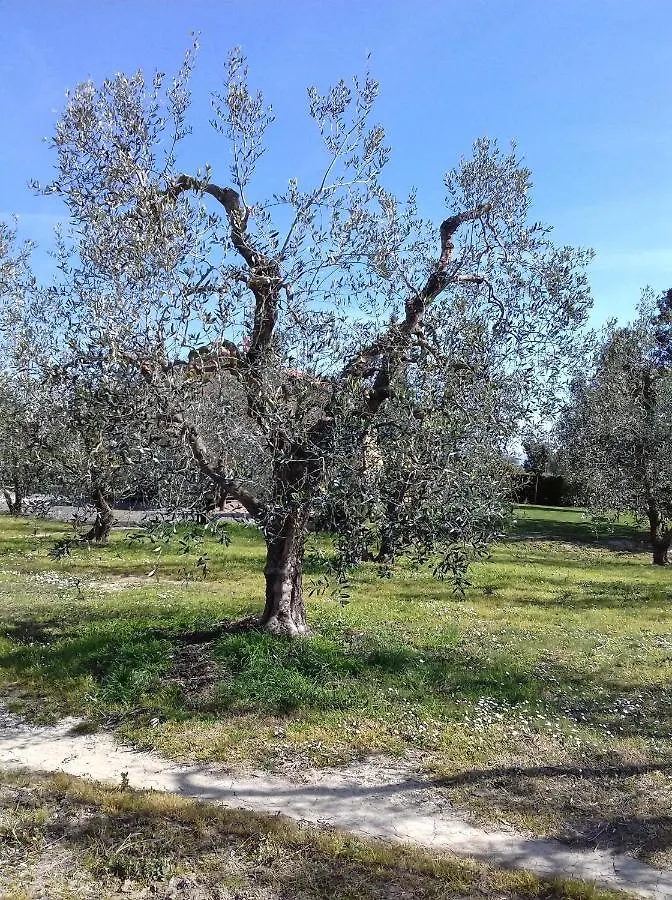 Agriturismo Le Chiare Stelle Grosseto Bauernhof