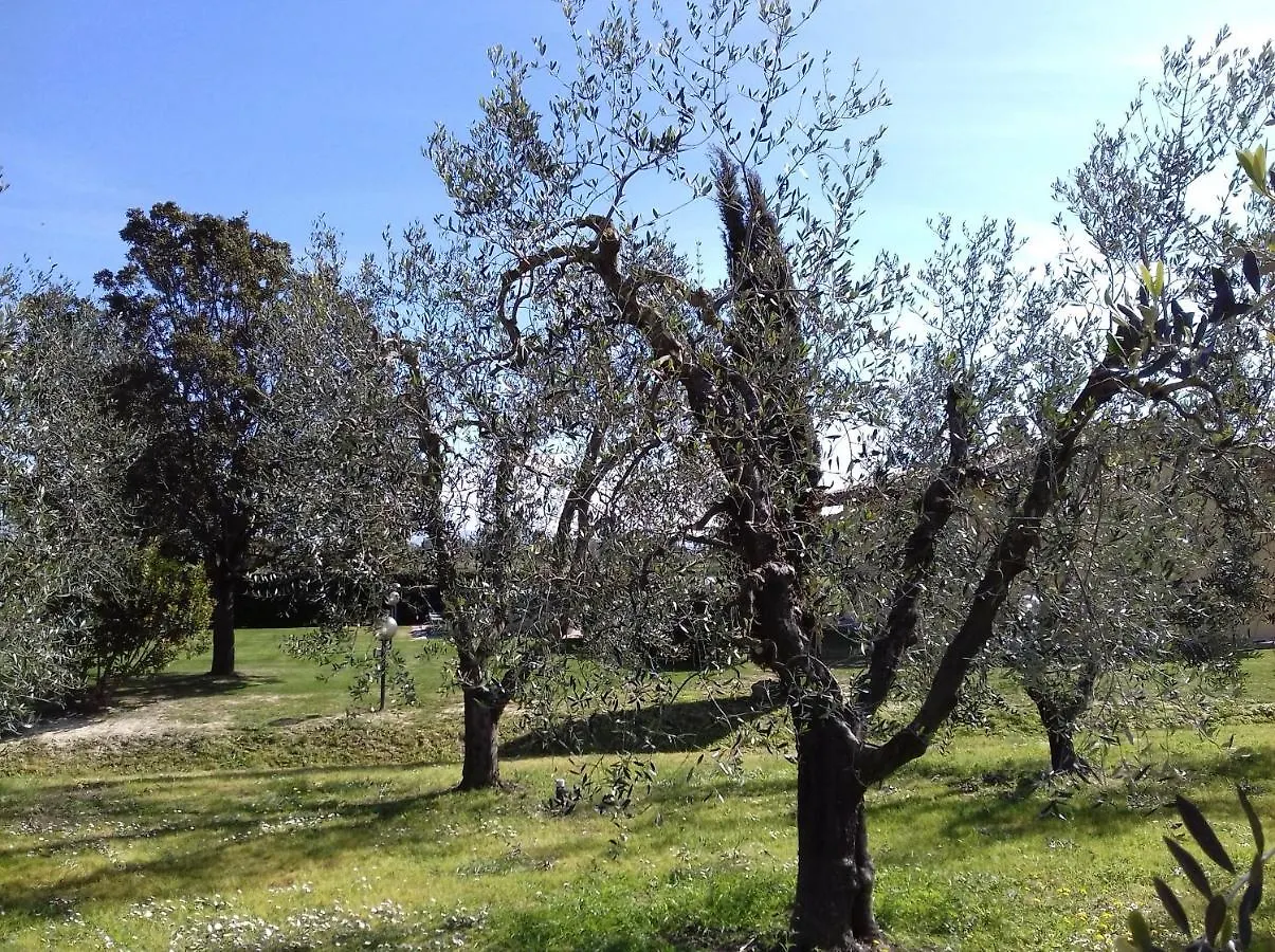 Agriturismo Le Chiare Stelle Grosseto Bauernhof