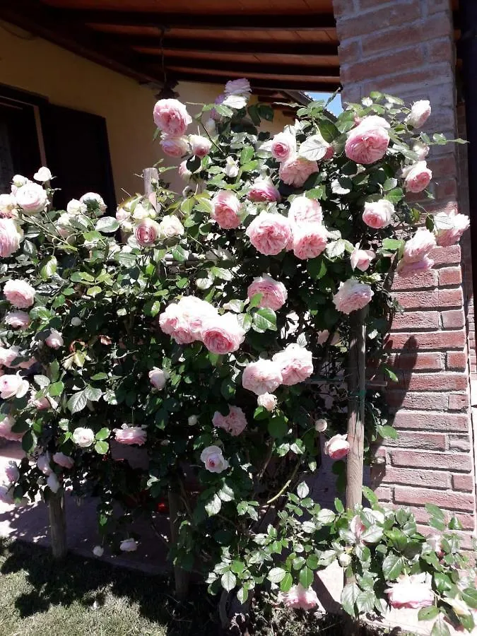 Agriturismo Le Chiare Stelle Grosseto Italia