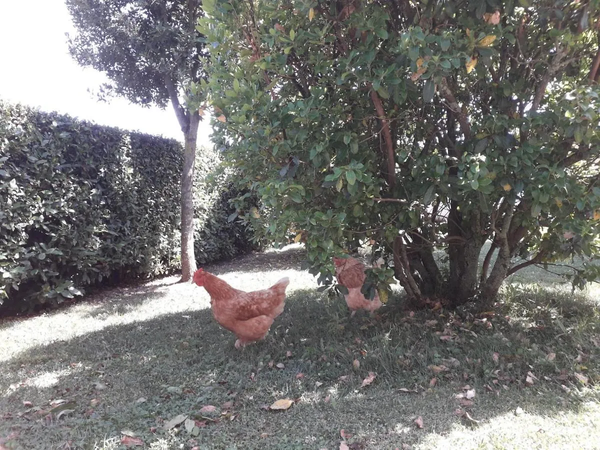 Κατάλυμα σε φάρμα Agriturismo Le Chiare Stelle Γκροσέτο