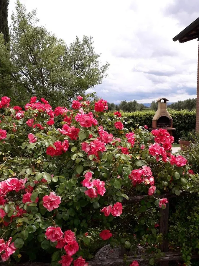 Κατάλυμα σε φάρμα Agriturismo Le Chiare Stelle Γκροσέτο