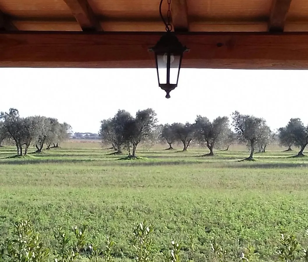 Feriegård Agriturismo Le Chiare Stelle Grosseto Italien